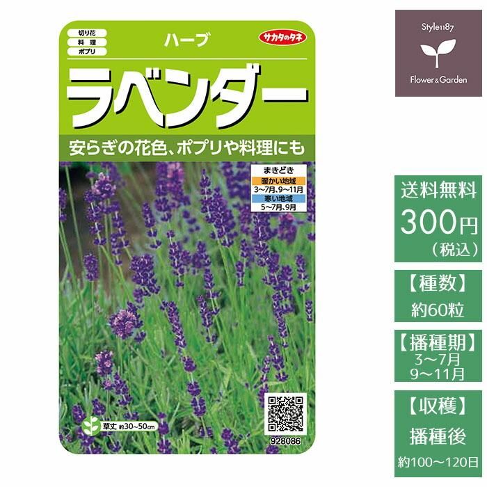 野菜の種 実咲ハーブ8086 ハーブ ラベンダー サカタのタネ お花のギフト 花苗 寄せ植え 観葉植物の専門店 Style1187