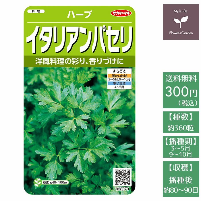 野菜の種 実咲ハーブ8070 ハーブ イタリアンパセリ サカタのタネ