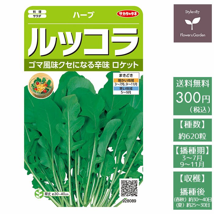 野菜の種 実咲ハーブ8089 ハーブ ルッコラ（ロケット） サカタのタネ - お花のギフト・花苗・寄せ植え・観葉植物の専門店 | Style1187