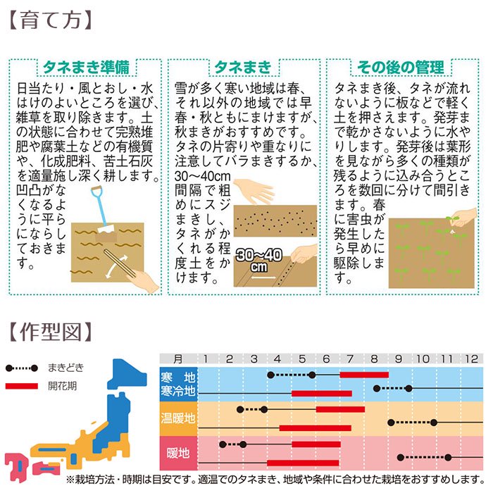 市場 サカタのタネ 花絵の具 ミックスフラワーガーデン 実咲花5901