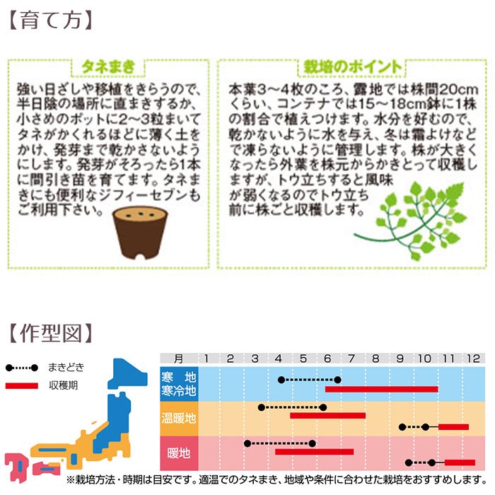 野菜の種 実咲ハーブ8077 チャービル（セルフィーユ）ハーブ サカタのタネ - お花のギフト・花苗・寄せ植え・観葉植物の専門店 | Style1187