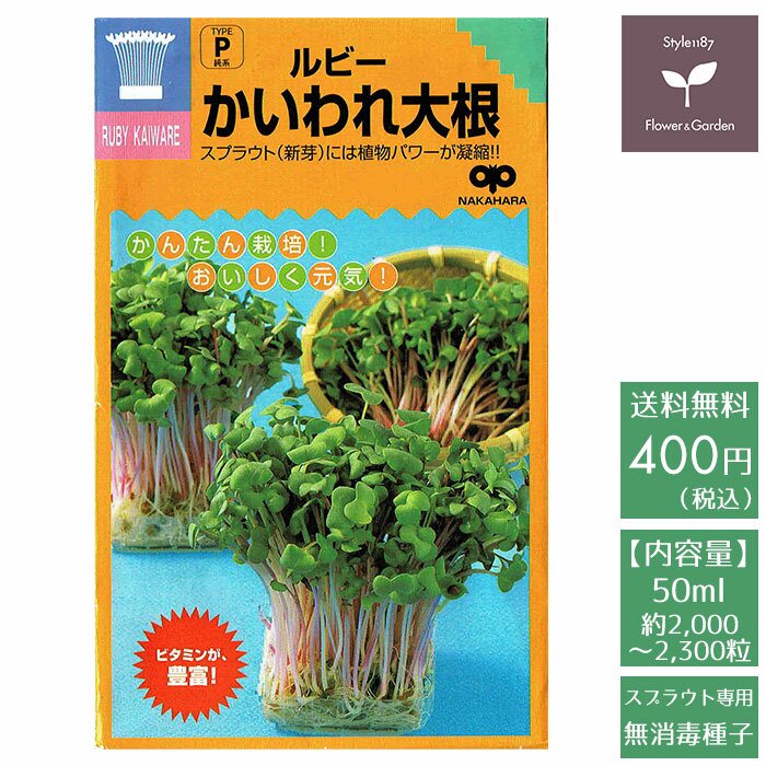 かいわれ大根 スプラウト種子50ml（約2,000粒） 公式の - 野菜