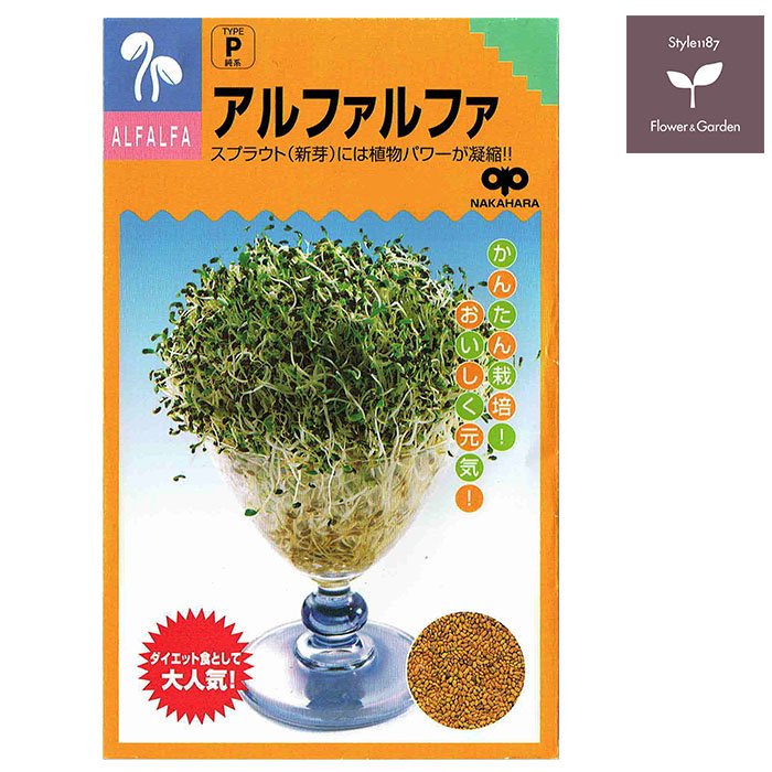 スプラウト 種 アルファルファ 話題のタネを送料無料でご自宅までお届け！ - お花のギフト・花苗・寄せ植え・観葉植物の専門店 | Style1187