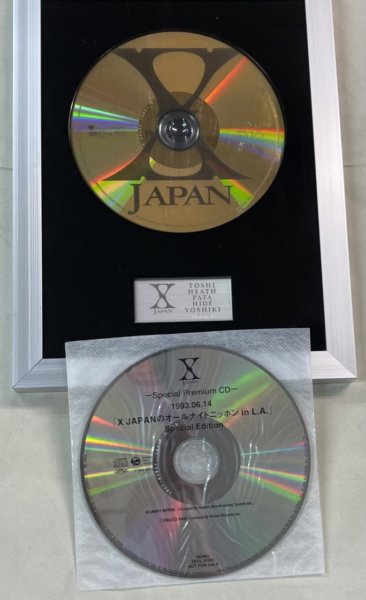 X JAPAN 限定盤DVD+CD ART OF LIFE 1993.12.31 TOKYO DOME シリアル 