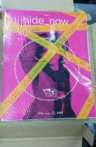 hide 限定販売写真集 hide now hide&LEMONed meets 2011 3冊セット