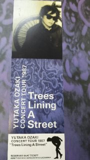 ˭ TREES LINING A STREET ꥢå 1987ǯ ͭࡡ