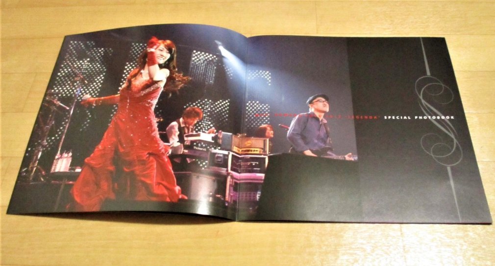 浜田麻里 コンサートパンフレット/写真集 30th Anniversary Tour Special Photo Book - ロックオンキング