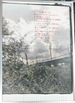 ブルーハーツ 真島昌利 「夏のぬけがら」 初回特典ポスター2枚セット 