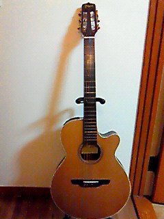 矢沢永吉 TAKAMINEハンドメイド・ギター NP65C for Eikichi Yazawa 