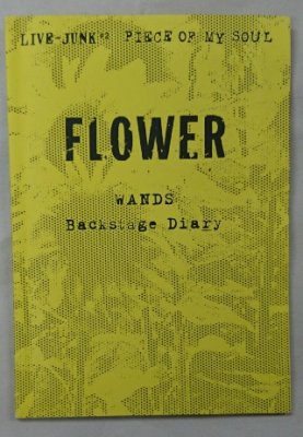 WANDS ファンクラブ限定 ミニ写真集 「FLOWER」 バック・ステージ