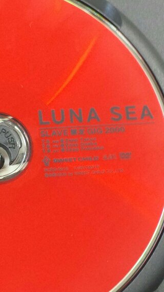 LUNA SEA 「SLAVE限定 ＧＩＧ 2000」 DVD - ロックオンキング