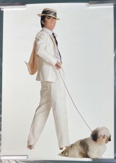 沢田研二　ポスター　犬と散歩　B2サイズ