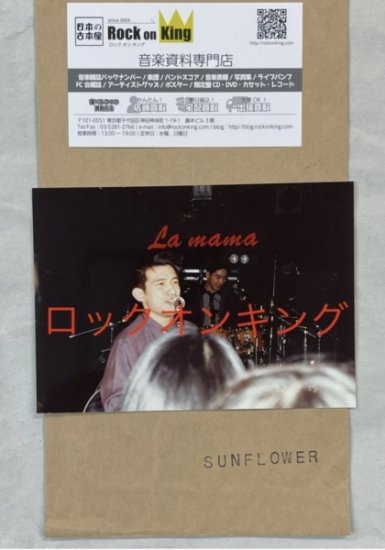 Mr.Children SUN FLOWER　桜井和寿　初期生写真・ブロマイド　La.mamaでのライブ写真　SUN FLOWERからの生写真、封筒付  - ロックオンキング