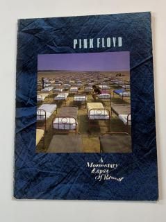 ԥ󥯥եɡPINK FLOYD A Momentary Lapse of Reasonաν 