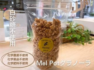  Mel Pot ۥꥸʥ륰Ρ