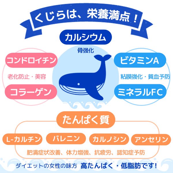 かた干し 南房総名産くじらのたれ