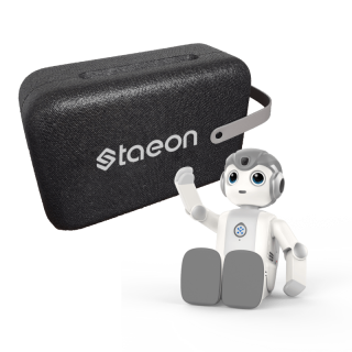 【STAEON】AI会話ロボット