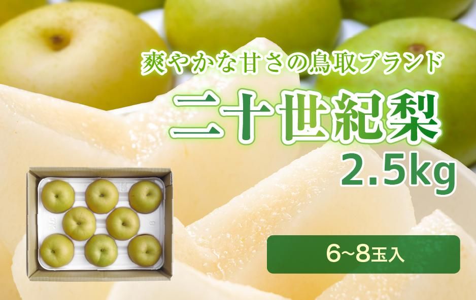 お買い得‼️家庭用　新甘泉　５キロ×２箱　計１０キロ お買い得‼️家庭用 新甘泉 5キロ×2箱 計10キロ 梨 新