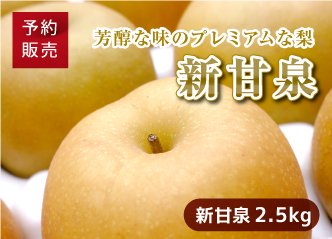 鳥取県でしか栽培できないプレミアムな梨「新甘泉」2.5kg