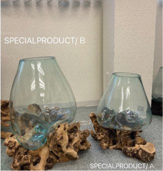 【SPECIAL PRODUCT  B】 No.201流木ガラス テラリウム コケリウム 金魚鉢