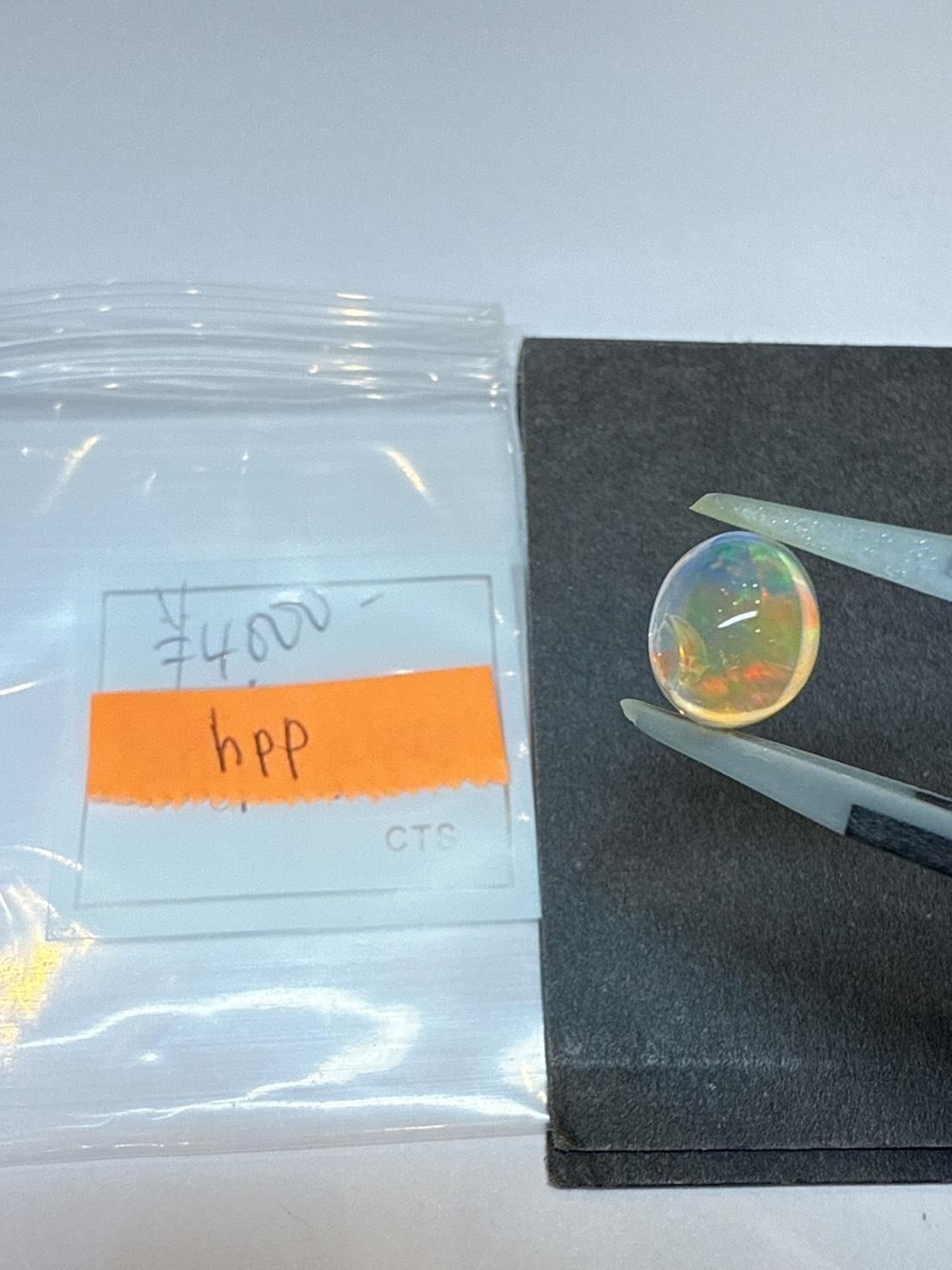 hppѡ10/7 ݸв׎̎ 10/10 23:59䎶ꎵʎߎََ