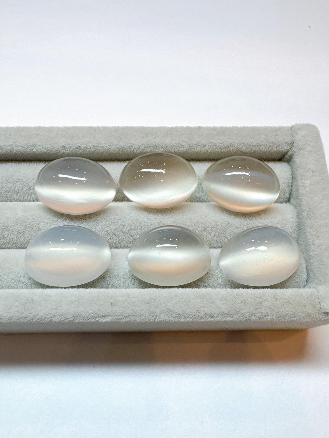 YouTubeLiveʡ11/1711/18 23:59ݎĎ޻юݎĎݎَ 14x10m 7ctup ٤ޤ 