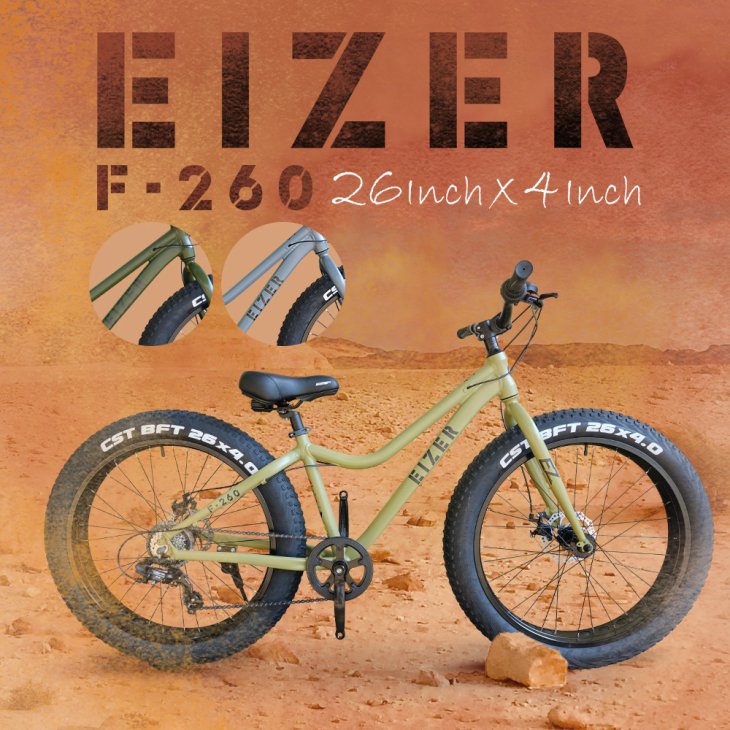 一勝堂 Eizer F260 - コウメイオンラインショップ