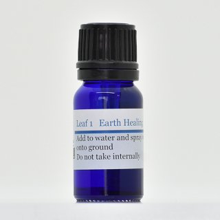 ꡼110󡡳ڡ䡡꡼1ʥҡ󥰡ˡLeaf 1 Earth Healing