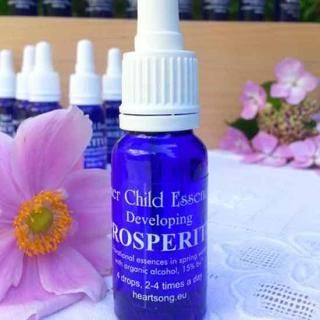 ڱѹ26.ץڥƥ˱ɡˡProsperity