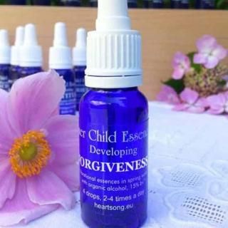 ڱѹ11. Forgiveness ե֥ͥ