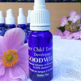 ڱѹ13.åɥܤβá	Goodwill