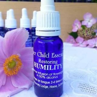 ڱѹ17. Humility ҥ塼ߥƥ
