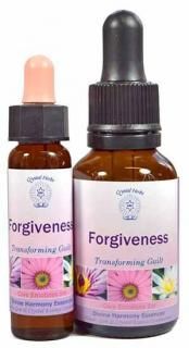 ڱѹۡڥǥХϡˡ꡼ۥե֥ͥForgiveness