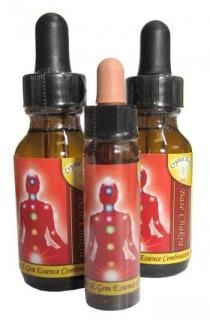 ڱѹۡڥ㥯饷꡼ۥ١㥯[Base Chakra]