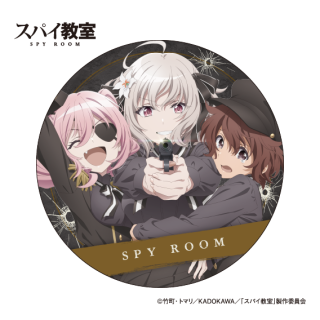 ڥޥåȡۥѥ SPY ROOMåͥåȡꥣ