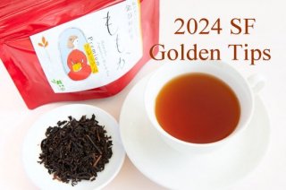 ⤫ץߥ꡼ Golden Tips 2024