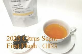 ë¹ China Citrus scentʥȥ饹ȡˡFF2025 ꡼20
