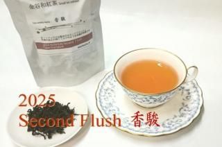 ë¹ ١SF2025꡼20