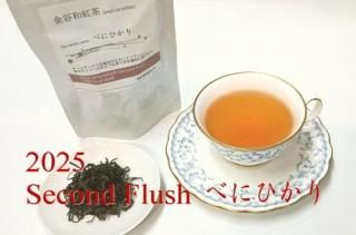 ë¹ ٤ˤҤꡡSF2025꡼20