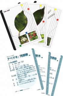 樹木カード（カード式樹木図鑑）
