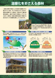 3.温暖化をおさえる森林
