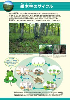 3.雑木林のサイクル