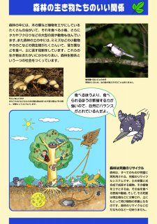 8.森林の生き物たちのいい関係