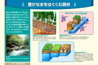 8.豊かな水をはぐくむ森林
