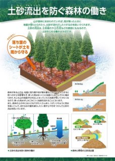 3.土砂流出を防ぐ森林の働き