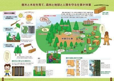 木育のための 樹（き）と木（き）の話｜出版物｜一般社団法人