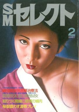 SM쥯 1987ǯ2