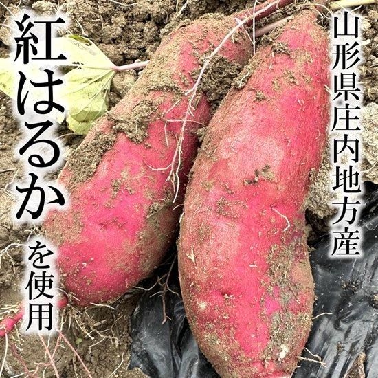 干し芋 極み 120g 5袋 - ながほりファーム☆山形の農産物・特産