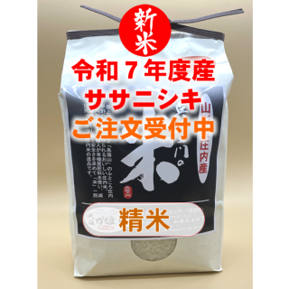 <img class='new_mark_img1' src='https://img.shop-pro.jp/img/new/icons1.gif' style='border:none;display:inline;margin:0px;padding:0px;width:auto;' />7ǯٻ ƥ˥ơ