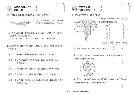 コピーしてすぐ使えるまるごと宿題プリント ５年 - 喜楽研 ～わかる喜び学ぶ楽しさを創造する教育研究所～